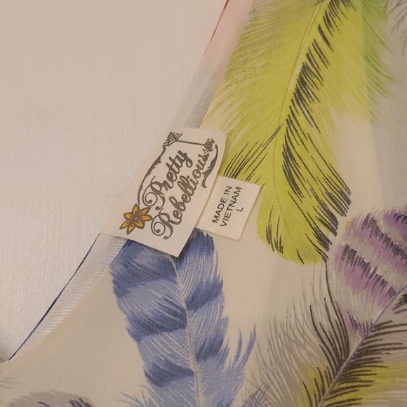 Feather Dress - Picture 6 of 6